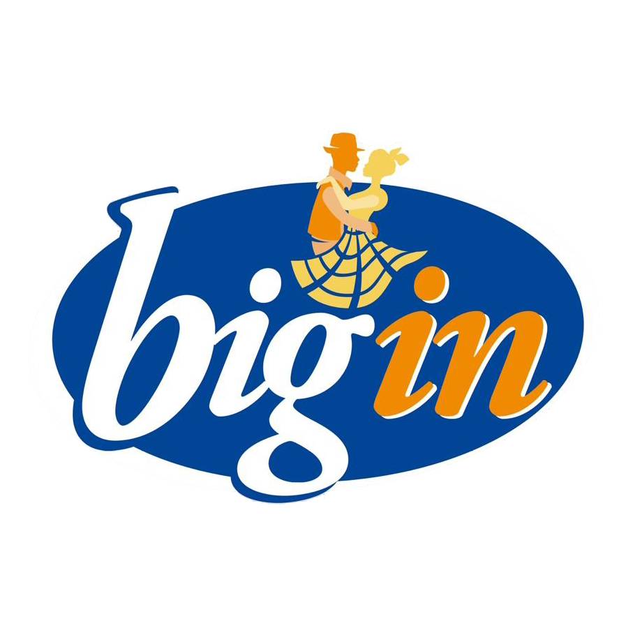 Logo Bigin